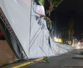 Defesa Civil registra queda de muro, tenda e árvores durante passagem de vento