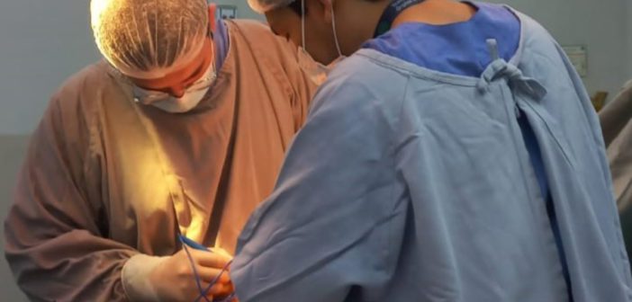 HM registra nova doação de órgãos e alcança 93% de aceitação